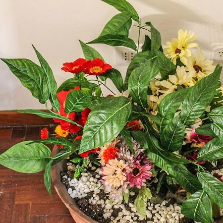 Hotel Alexander House Palermo Zewnętrze zdjęcie
